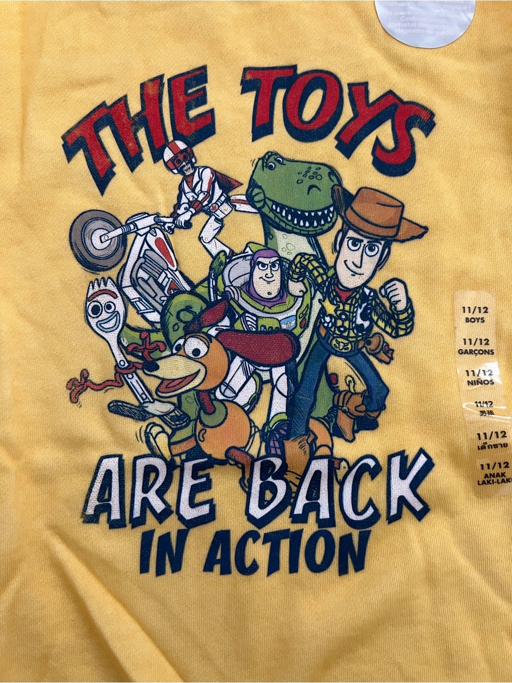 Kids' Toy Story Graphic Sweatshirt featuring Woody & Buzz